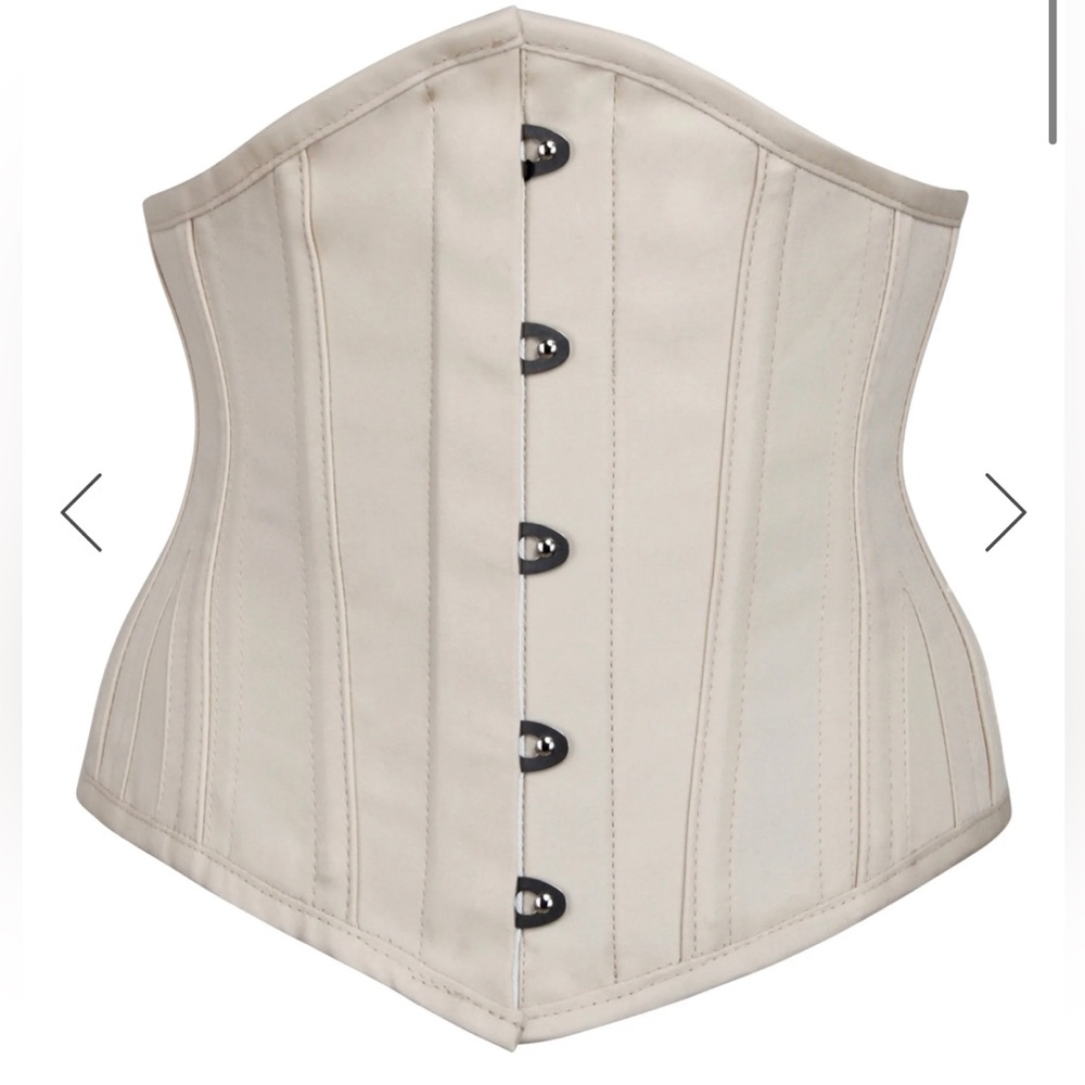 champagne satin Waspie corset